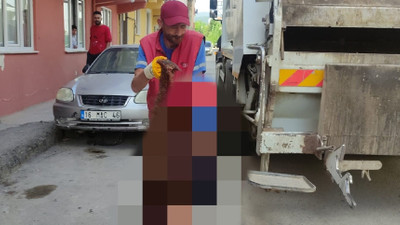 Konteynerde parçalara ayrılmış bedeni bulunmuştu! Başı ve derisi bahçede çıktı