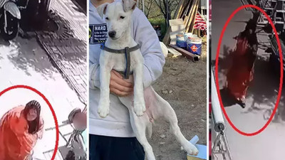 Dükkan önünde duran köpeği önce sevdi sonra çaldı!