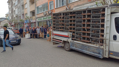 Düzce'de garip görüntü! Kuyruğun sebebini duyan şoke oldu