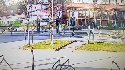 Sokak köpeklerinin saldırdığı genç kıza otomobil çarptı