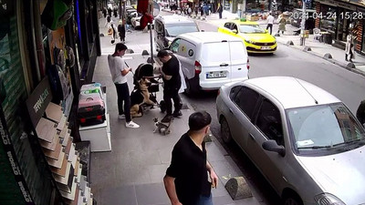 “Yedi Bela Hüsnü” isimli kedi, köpeklere geçit vermiyor