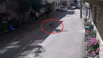Bursa'da 3 çocuğu ısıran sokak köpeklerine polis müdahalesi kamerada!