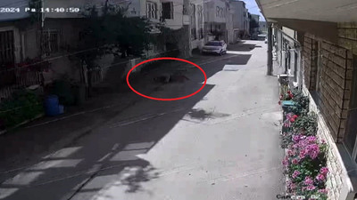 Bursa’da sokak köpekleri 3 çocuğu öldürüyordu