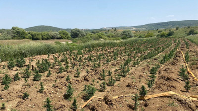 Jandarmadan PKK'nın uyuşturucu ağına darbe!