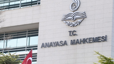 AYM, sahipsiz hayvanlar hakkındaki yasal düzenlemeleri değerlendirdi