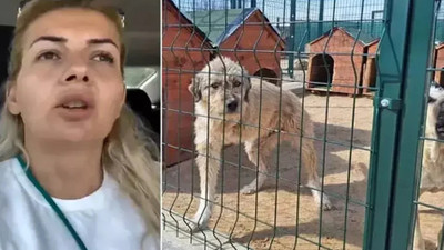 Kuduz hastalığı olan köpekleri Ankara'ya taşıdığı iddiasıyla tutukluydu: Tahliye edildi