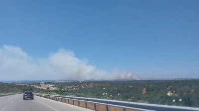 Çanakkale’de bir orman yangını daha!
