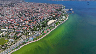 Plankton patlaması İzmir'de denizin rengini değiştirdi
