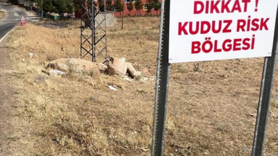Şanlıurfa'da kuduz alarmı: sokak köpekleri toplanırken gerginlik tavan yaptı