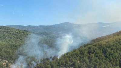 Muğla Milas’ta orman yangını