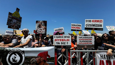 Sahipsiz hayvanlara yönelik yasal düzenlemeye ilişkin miting düzenlendi