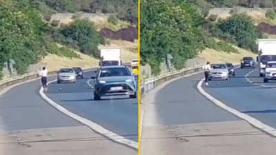 Metrelerce koşup araçları durdurdu, kaplumbağayı kurtardı!