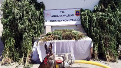Bakan Yerlikaya duyurdu: 'Narkoçelik-26' operasyonlarında 57 gözaltı