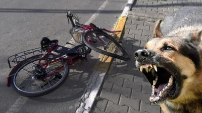 Köpekten kaçarken öldü!