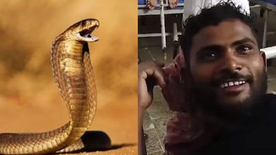 Hindistanlı adam, kendisini sokan yılanı ısırıp öldürdü