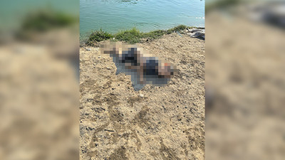 Sulama kanalında çocuk cesedi!
