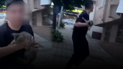 Yavru kediyi balkona fırlatan çocuklar gözaltına alındı!