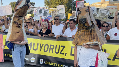 Başıboş sokak hayvanları protestosunda ilginç görüntüler: Köpek kılığına girdiler!