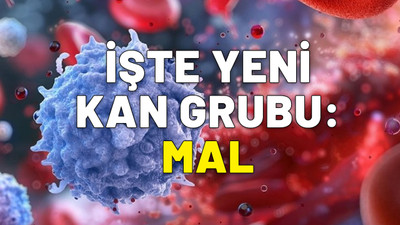 Duyanlar şaşırıp kalıyor. Bilim adamları keşfetti. İşte yeni kan grubu: MAL