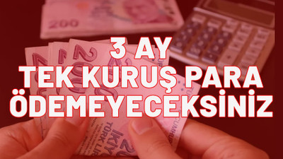 3 ay tek kuruş ödemeyeceksiniz. 100 bin TL nakit kredi için hemen başvurun.