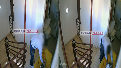 İstanbul'da mide bulandıran olay! Kediyi işte böyle taciz etti...