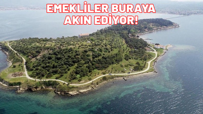 Emekliler akın akın oraya gidiyor. Sayı git gide artıyor.