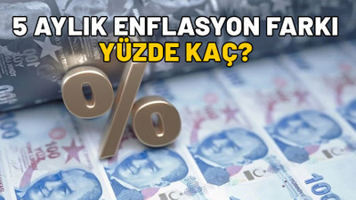 5 AYLIK ENFLASYON FARKI 2024: Temmuz, ağustos, eylül, ekim, kasım enflasyonuna göre memur ve emekli zammı yüzde kaç?