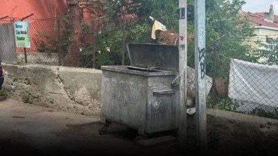 Bebeğini çöpe atan 18 yaşındaki anneden garip savunma
