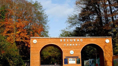 İdaresi İBB'deydi! Mahkemeden Belgrad Ormanları'na jet tahliye