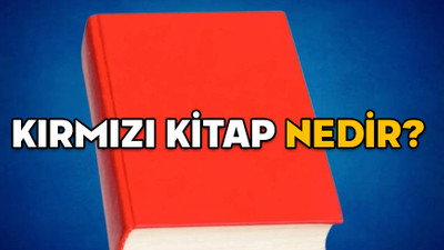 KIRMIZI KİTAP NEDİR? Milli Güvenlik Siyaseti Belgesi’nin içeriği nedir? Neden önemli?