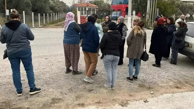 Ürünleri Avrupa'dan dönen işletme iflas etti: Alacaklılar kapıya dayandı!