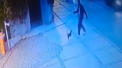 O anlar kameraya yansıdı! İstanbul'un göbeğinde kediye şiddet uyguladı