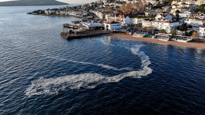 Marmara Denizi'nde büyük panik! Yeniden görülmeye başlandı