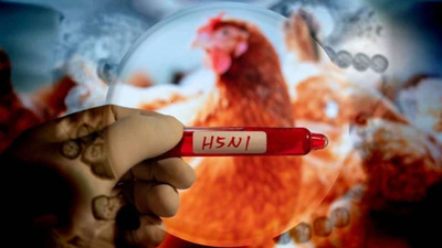 Dünyada kuş gribi korkusu büyüyor: İlk ölümlü vaka kaydedildi!