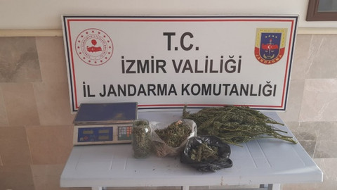Jandarma’dan uyuşturucu operasyonu: Çok sayıda uyuşturucu madde ele geçirildi