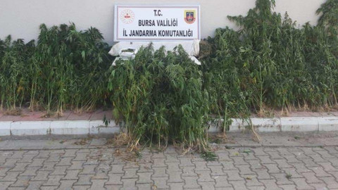 Bursa’da nefes kesen uyuşturucu operasyonu: 4 gözaltı