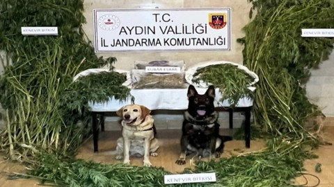 Jandarmadan nefes kesen operasyonlar!