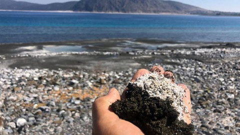Salda Gölü'nde salyalaşma ve kararma tehlikesi