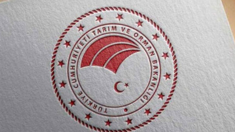 Tarım ve Orman Bakanlığı: Evcil hayvanları kayıt altına almak için son tarih 31 Aralık