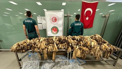 Havalimanında ele geçirildi! 1200 adet post