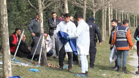Üniversite öğrencisi yol kenarında ölü bulundu