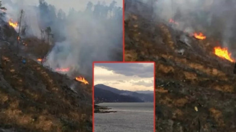 Çamburnu'nda örtü yangını! 6 yıl önce çıkan yangında da zarar görmüştü