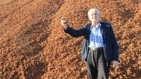 Kömür fiyatları arttı, çam fıstığı kabukları değerlendi