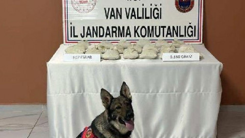 Jandarma'dan uyuşturucu operasyonu: Çalılar arasında 10 kilo esrar bulundu