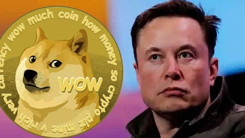 Musk'tan bir taşta iki kuş! Hem Larry'i hem de Dogecoin'i uçurdu