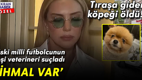 Tıraşa giden köpeği öldü! Rüştü Reçber'in eşi Işıl Reçber veterineri suçladı: ‘İhmal var’