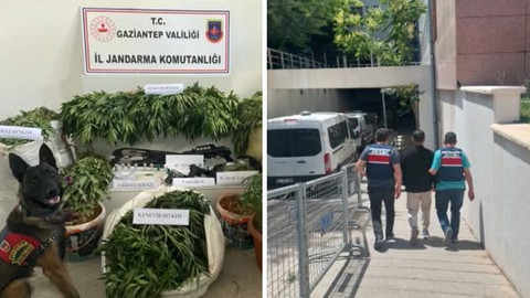 Gaziantep’te silah ve zehir tacirlerine operasyon: 3 tutuklama