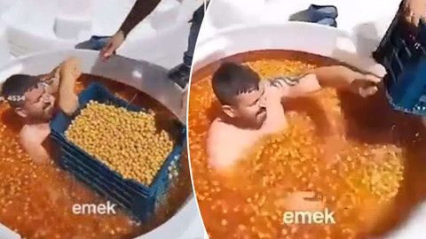 Zeytin tankındaki mide bulandıran görüntülere inceleme başlatıldı: İşletmeye mühür, sahibine ceza!