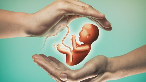 "Yüksek sıcaklık tüp bebek tedavisindeki başarıyı etkilemez"
