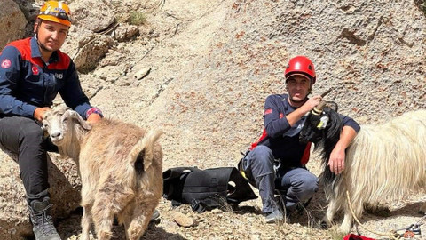 Van’da keçi kurtarma operasyonu